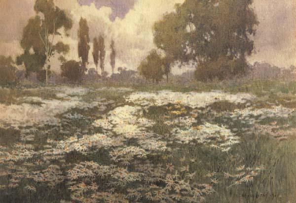 unknow artist Field of Daisies Germany oil painting art
